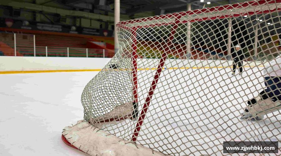 多宝电竞官网热血沸腾，荣耀终归！